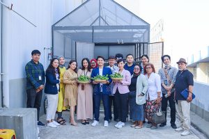 Panen ibis Styles mangga dua