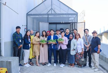 Panen ibis Styles mangga dua