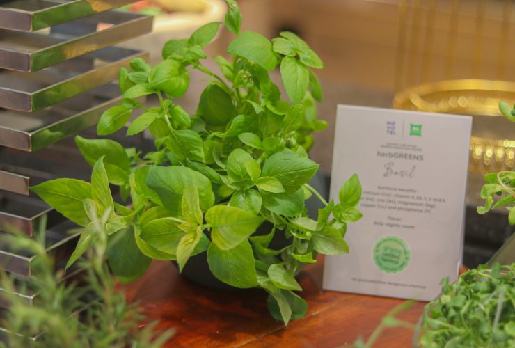 Komitmen Penuh Terhadap Sustainability, Novotel dan ibis Styles Jakarta Mangga Dua Square Upayakan Zero Plastik