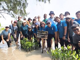 ASCOTT INDONESIA Menanam 1000 Mangrove